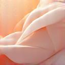 An icon representing hormone health: an abstract representation of interlocking molecular structures and gentle waves, in soft pink and purple tones.