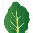 An icon representing nutrition coaching: a stylized leafy green vegetable with a fork and knife, on a background of green hues.